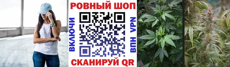 ГАШ Геленджик