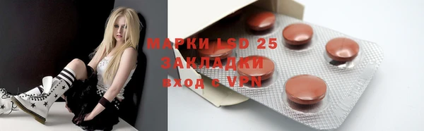 ГАЛЛЮЦИНОГЕННЫЕ ГРИБЫ Алзамай