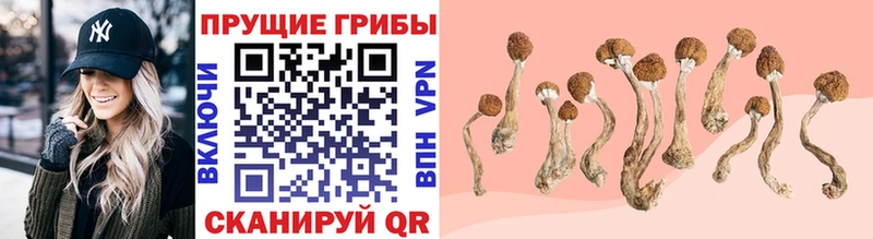 Галлюциногенные грибы GOLDEN TEACHER  ссылка на мегу онион  Геленджик 