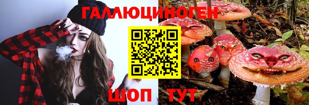 Галлюциногенные грибы Psilocybine cubensis  Вход с VPN  Геленджик  Псилоцибиновые грибы ЛСД 